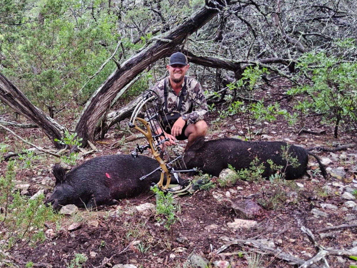 Field-Tested: STX Pro Staff on the Hunt; An STX Archery pro staff member kneels beside a wild hog, showcasing a high-performance compound bow in rugged terrain.
